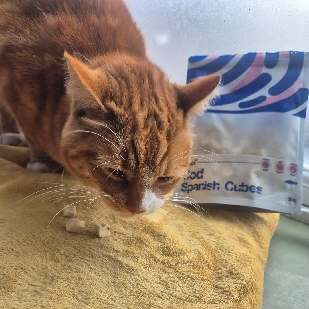 Waita Freeze Dried Cod & Spanich Cubes