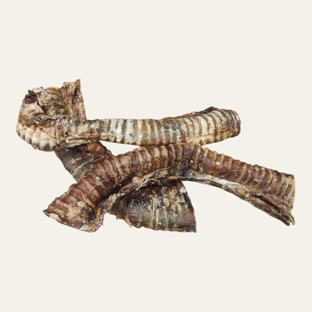 Beef Trachea 30cm