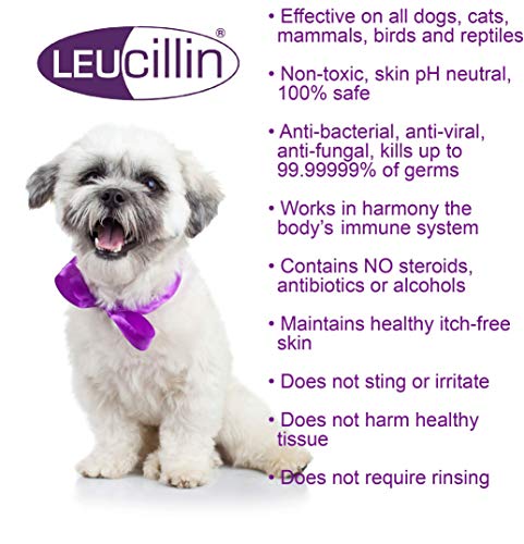 Leucillin Antiseptic Spray 500ml