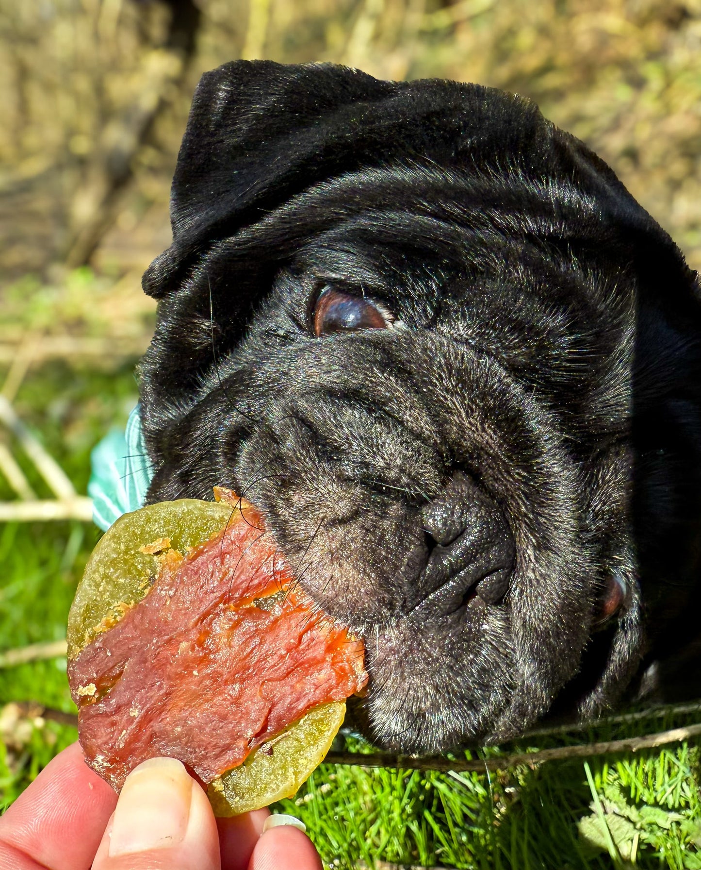 Kiwi Chunks Wrapped Duck Breast