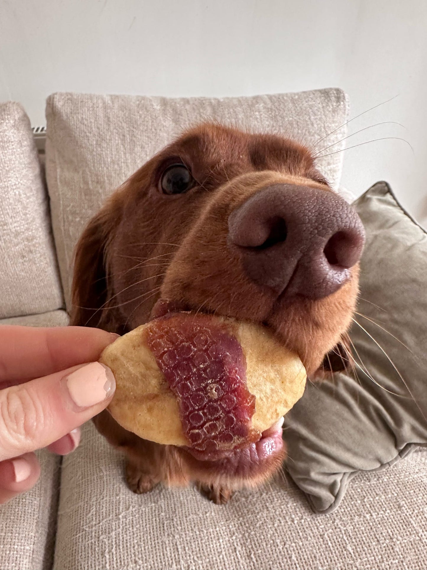 Banana Slices Wrapped Duck Breast