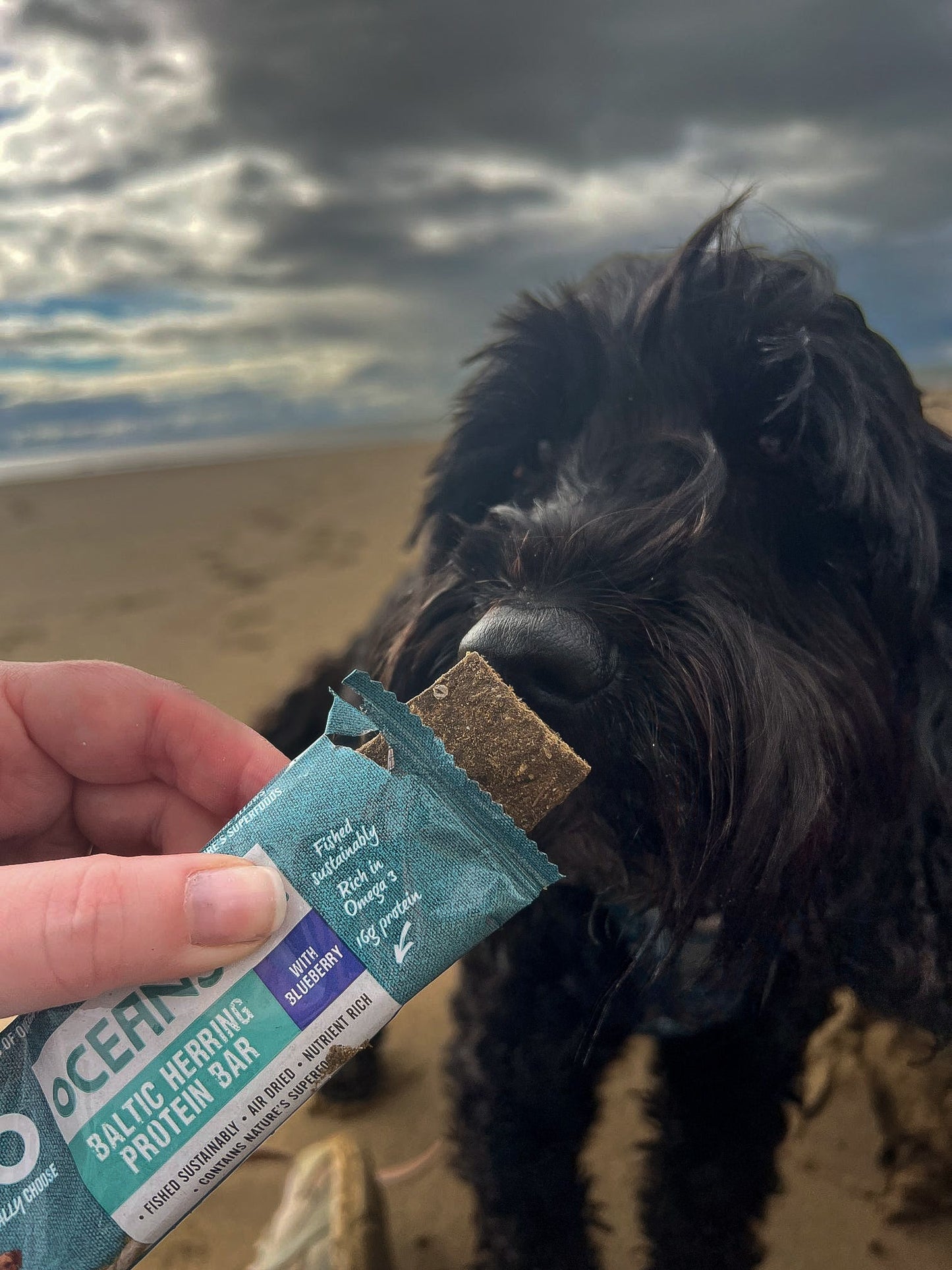 Anco Oceans+ Protein Bar with Blueberry