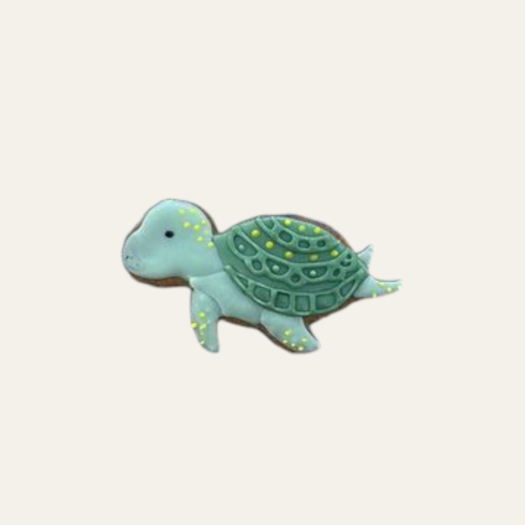 Turtle Biscuit
