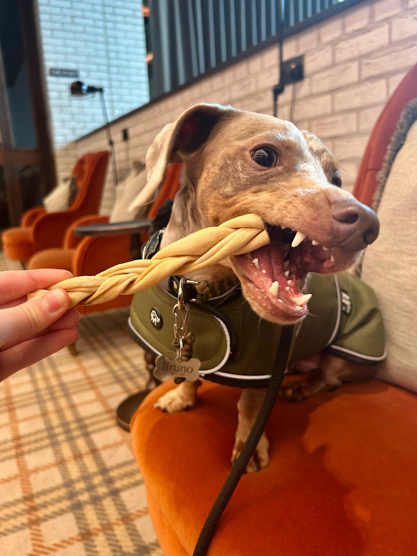 Lamb Braid