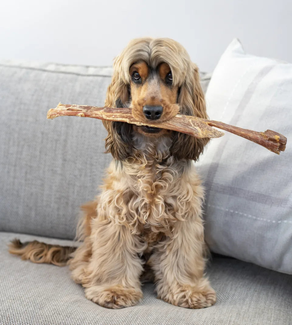 Anco Giant Buffalo Paddywack Stick