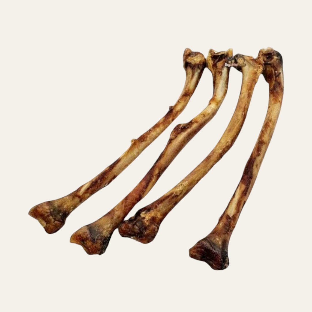 Ostrich Wing