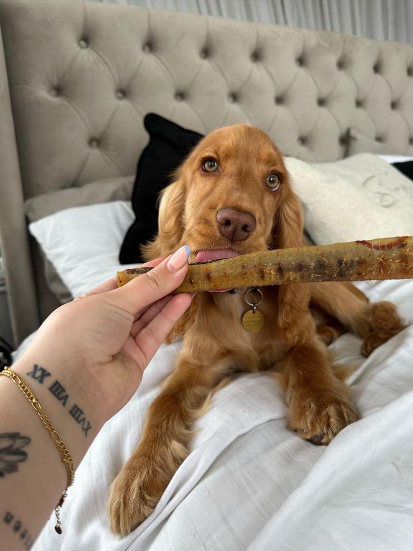 Sausage Rolls