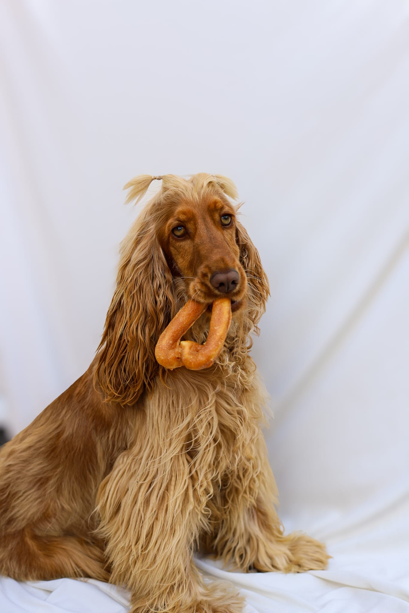 Collagen Chicken Coated Heart
