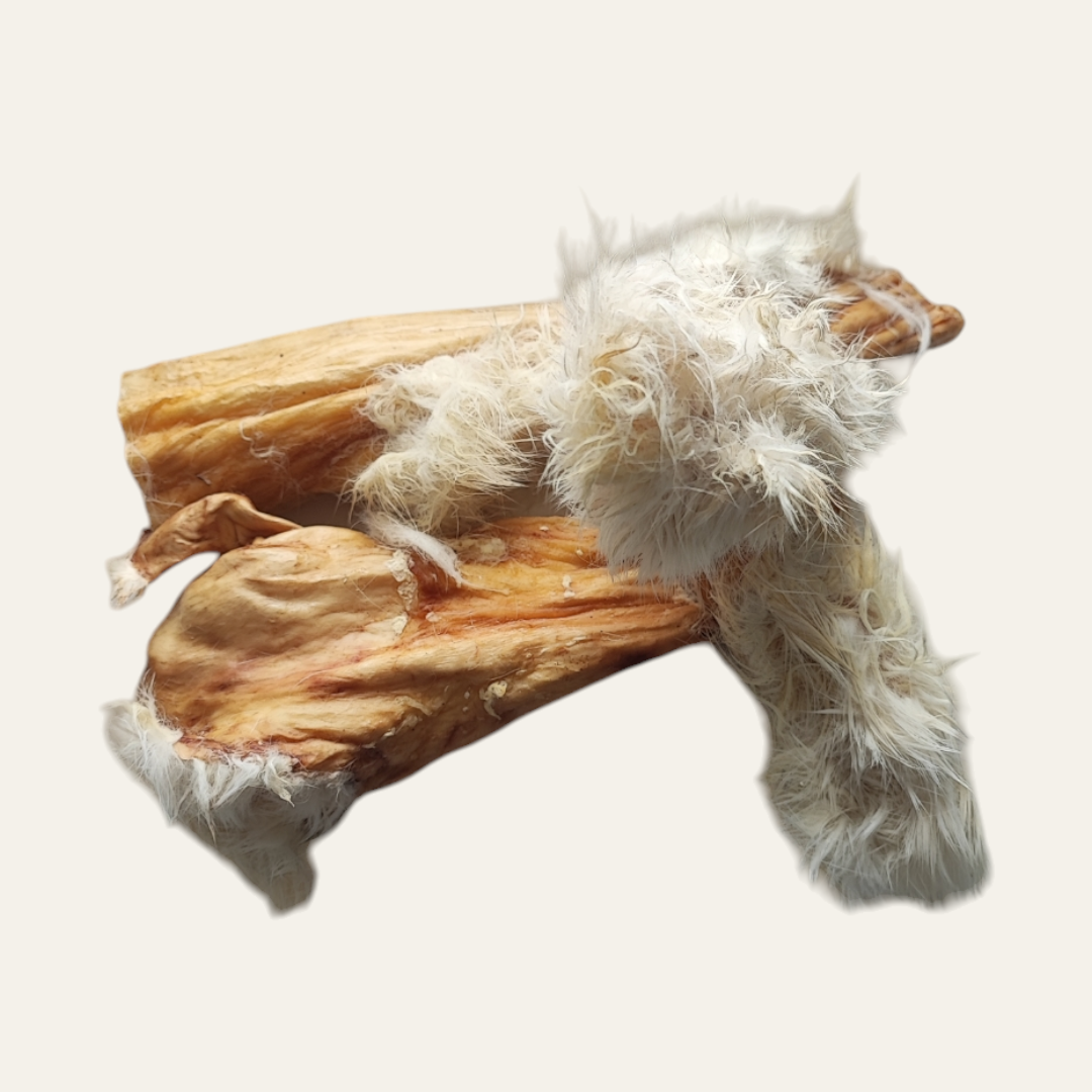 Hairy Rabbit Skin