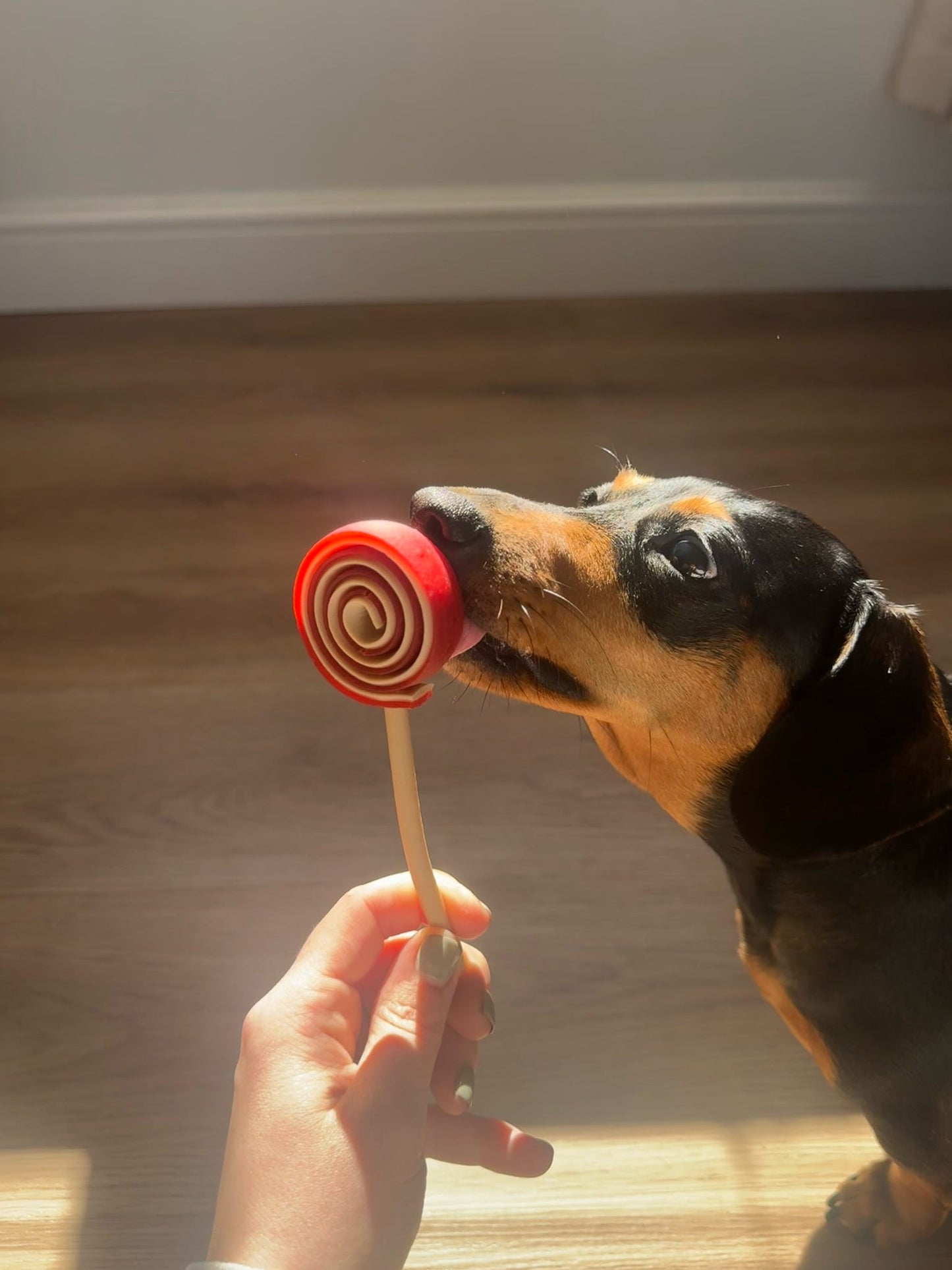 Veggie Lollipop
