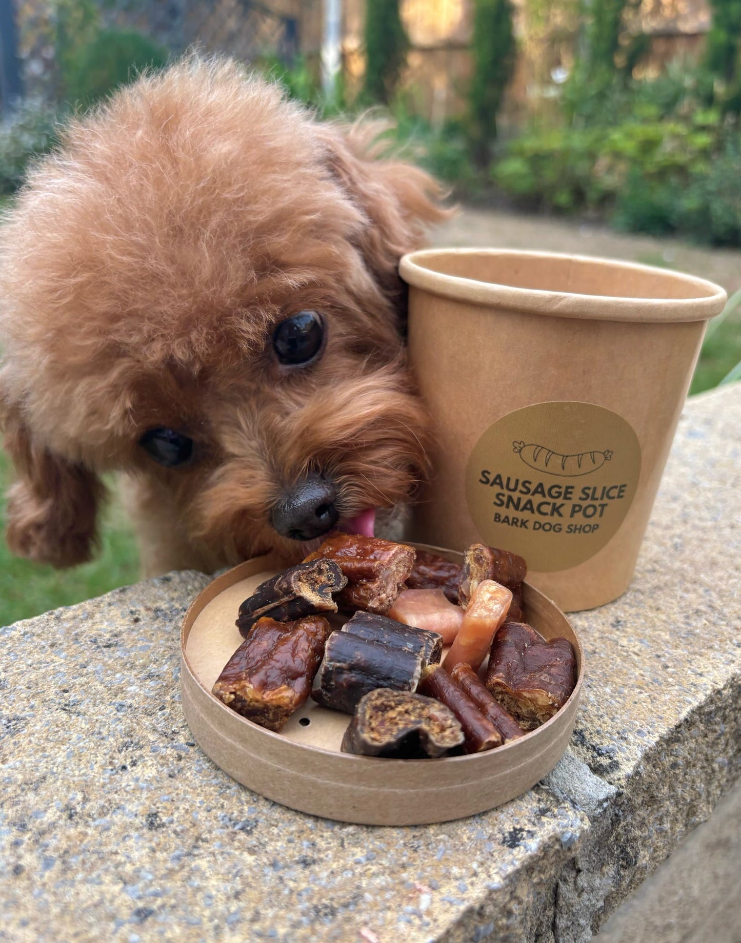 Sausage Slice Snack Pot