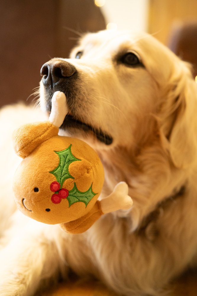 Petface Tasha Turkey