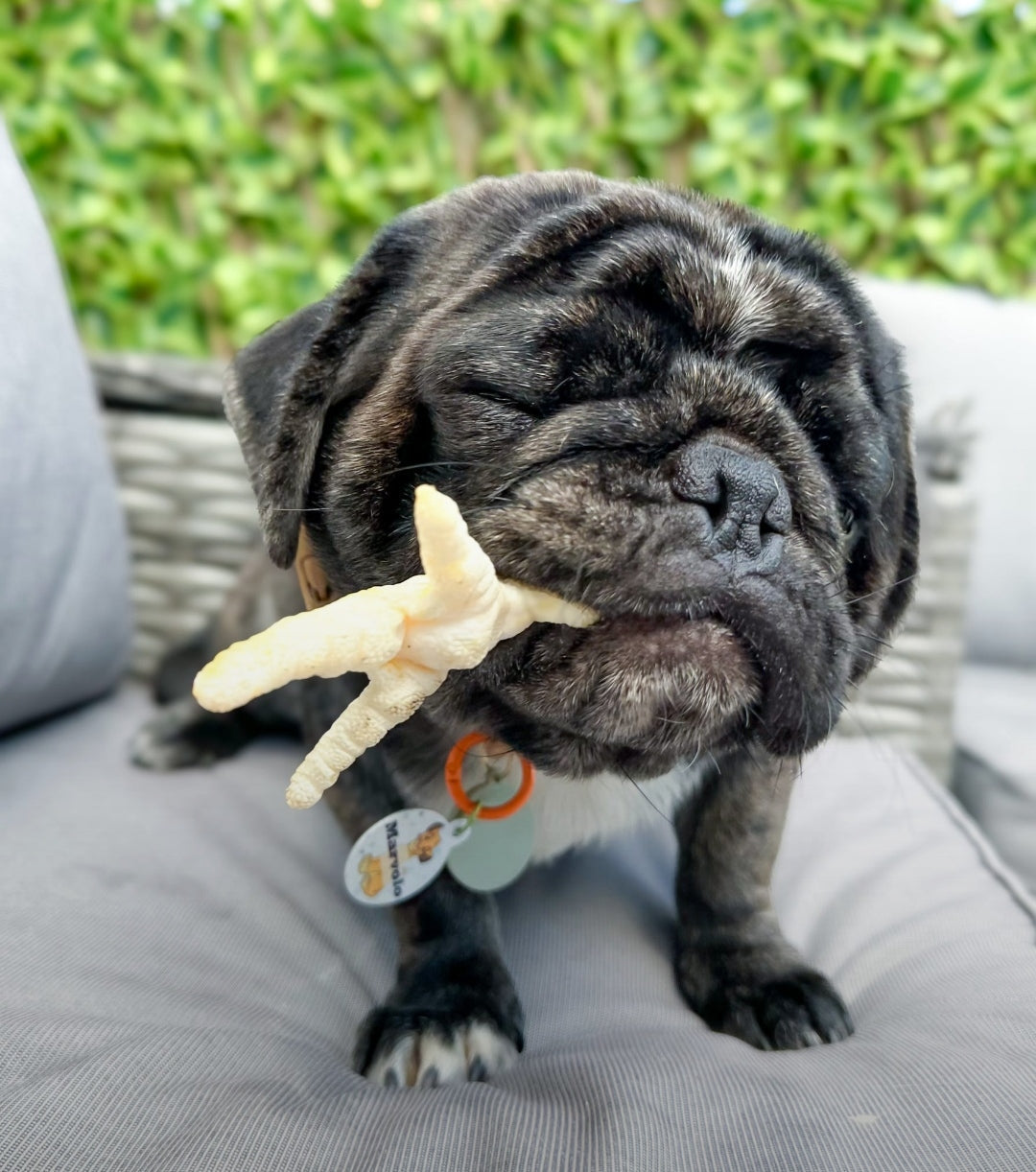Puffed Chicken Feet