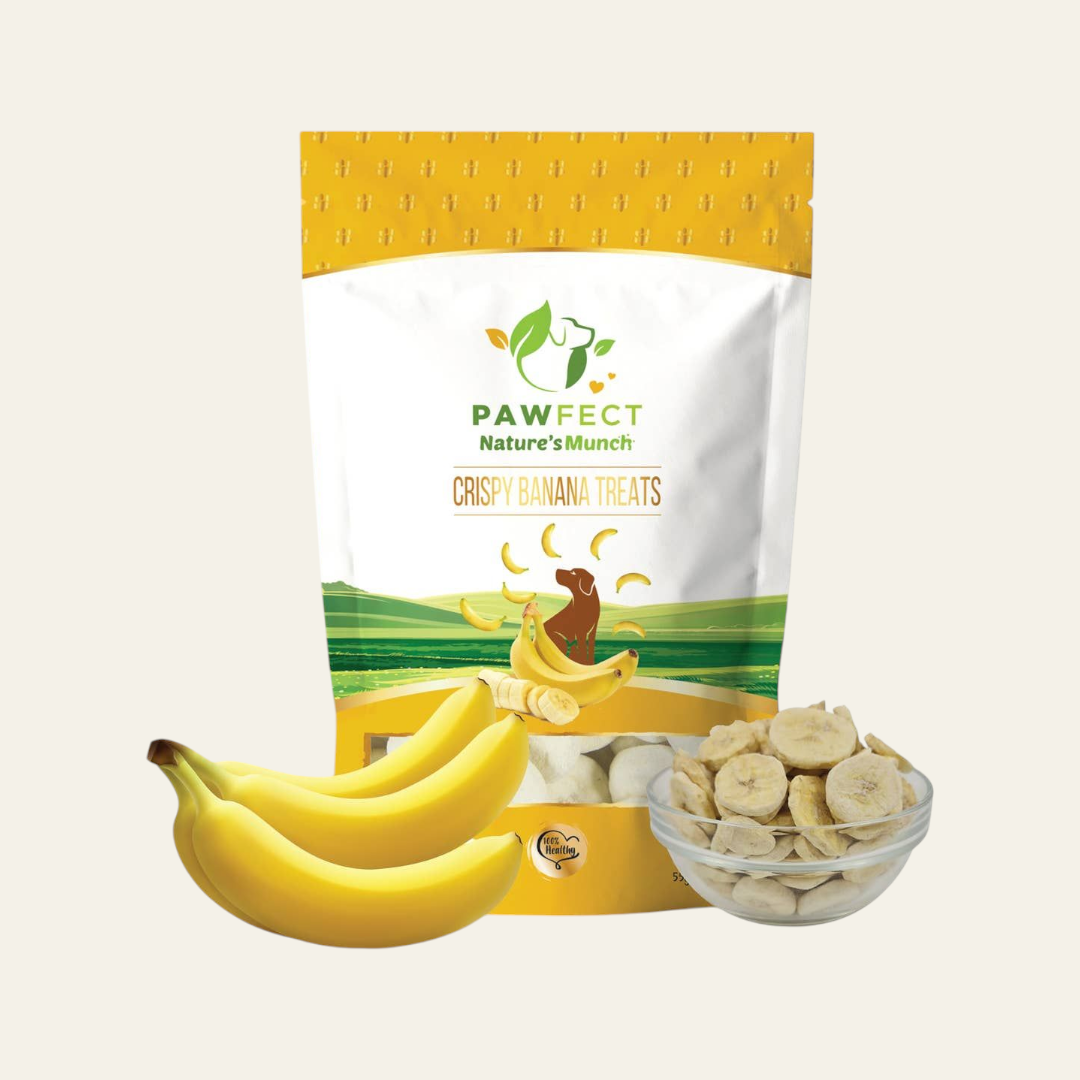 Freeze Dried Crispy Banana Bites 55g