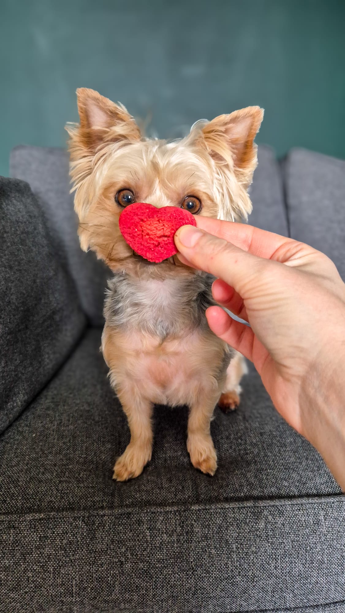 Beetroot kisses