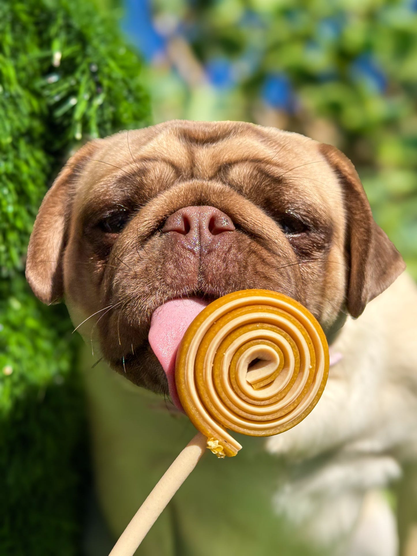 Veggie Lollipop