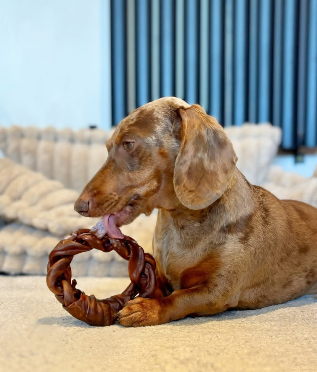 Anco Naturals Camel Collagen Braided Ring