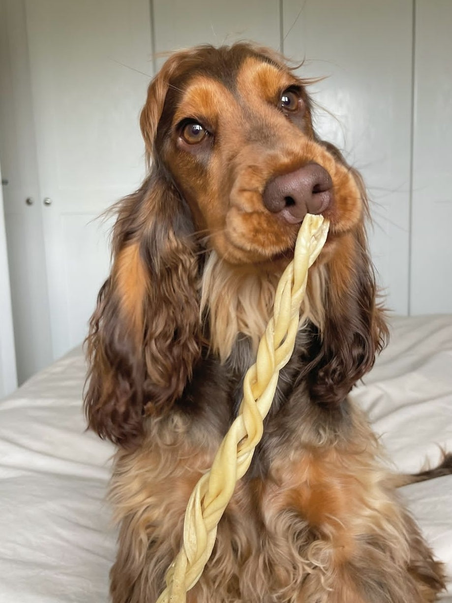 JUMBO Lamb Skin Braid