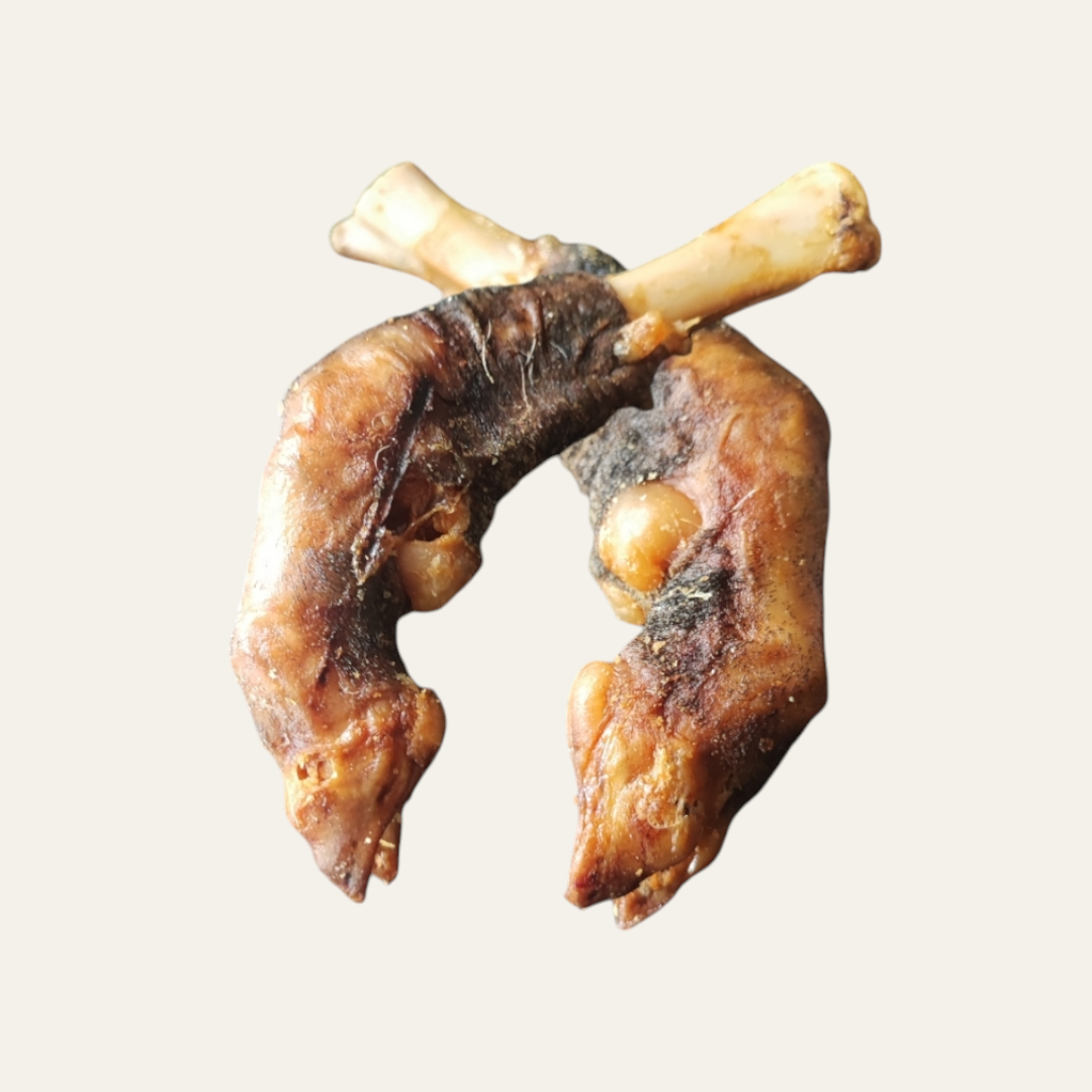 Lamb Trotter