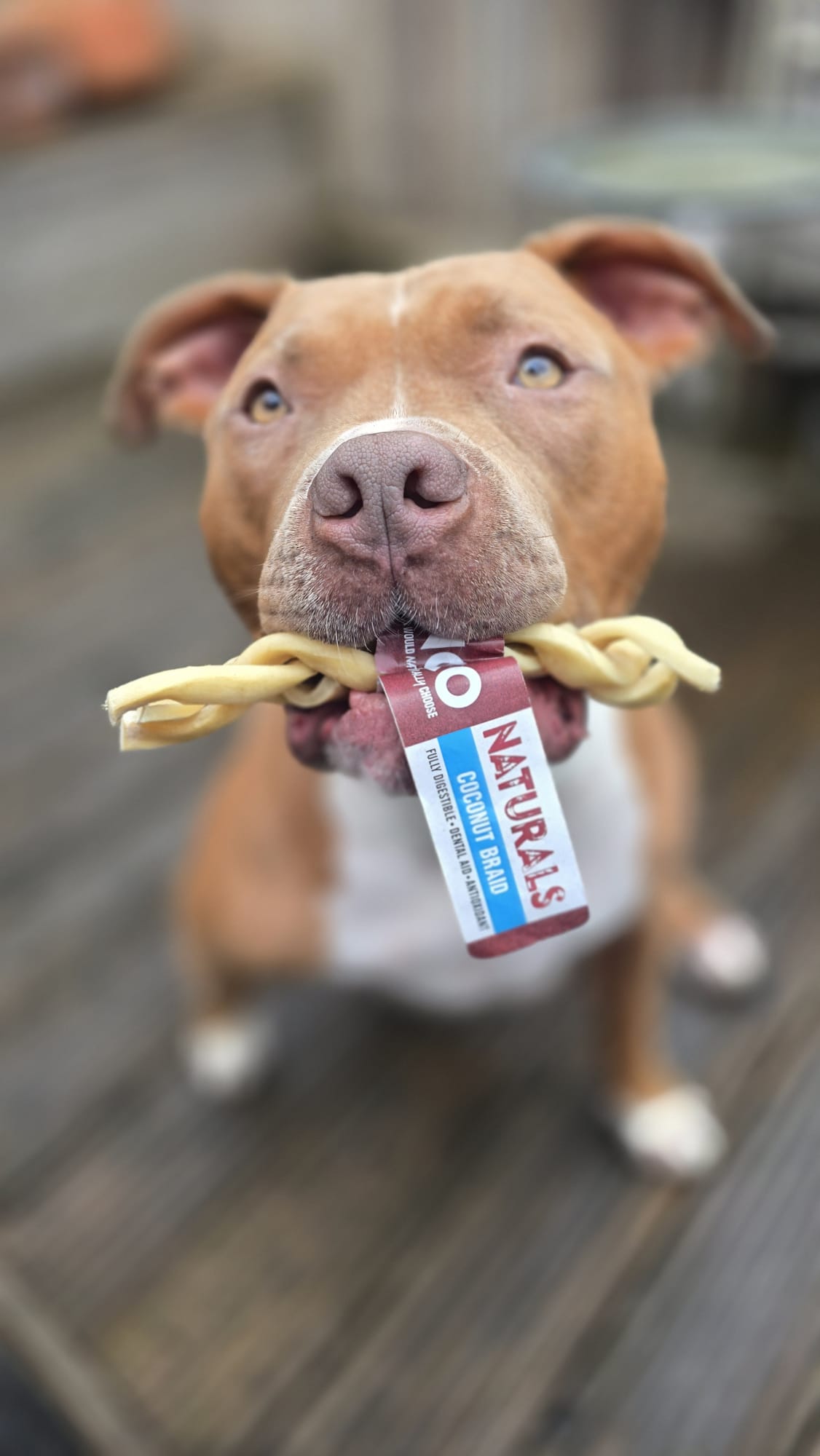Anco Beef & Coconut Braid