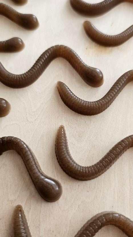 Gummy Worms