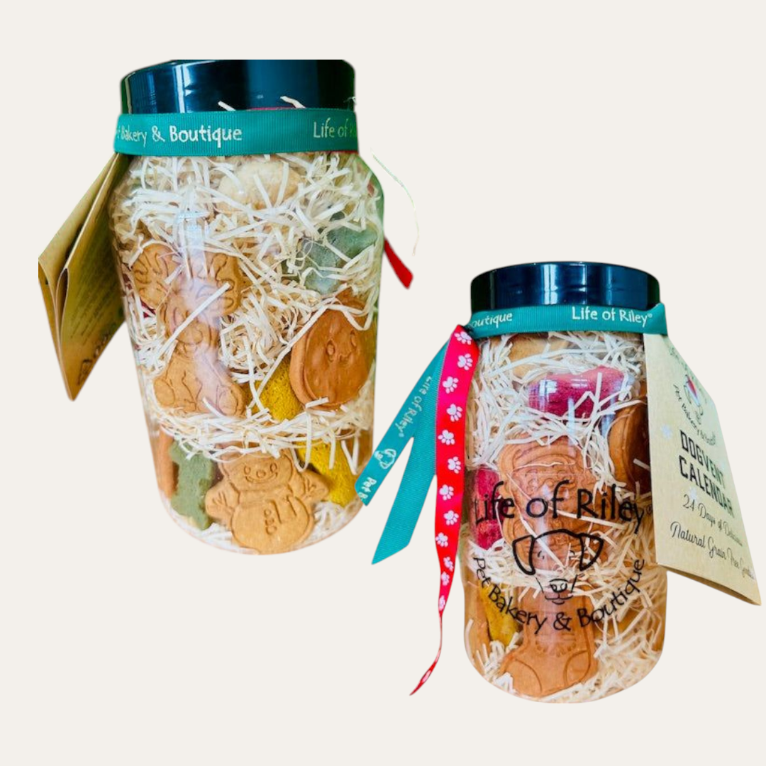Premium Dogvent! Giant Doggy Advent Calendar Jar