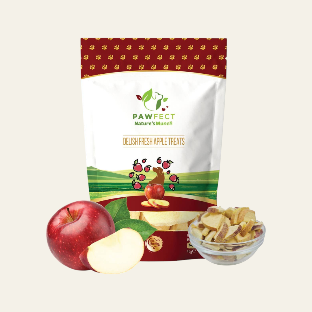 Freeze Dried Apple Bites 40g