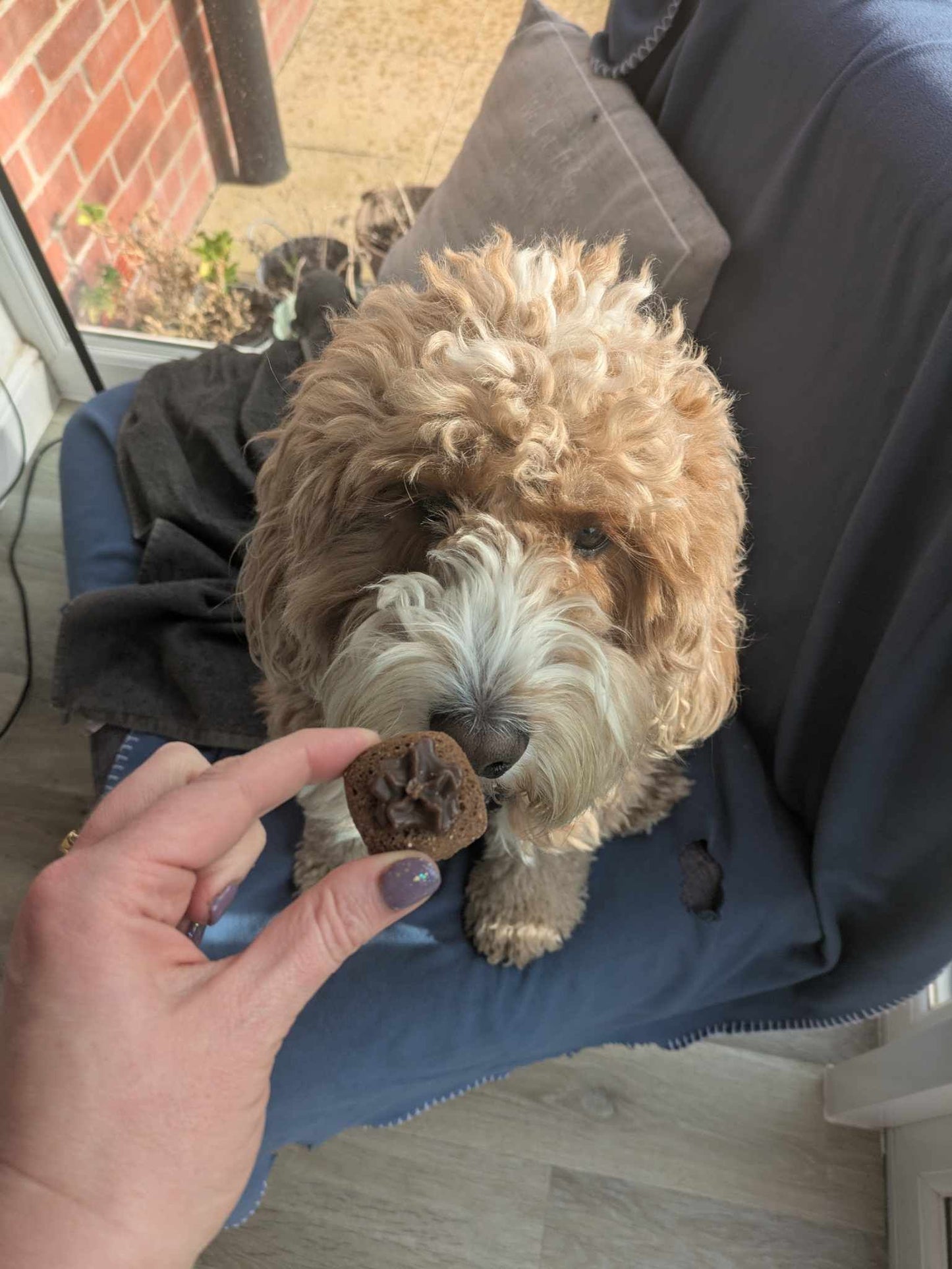 Truffles