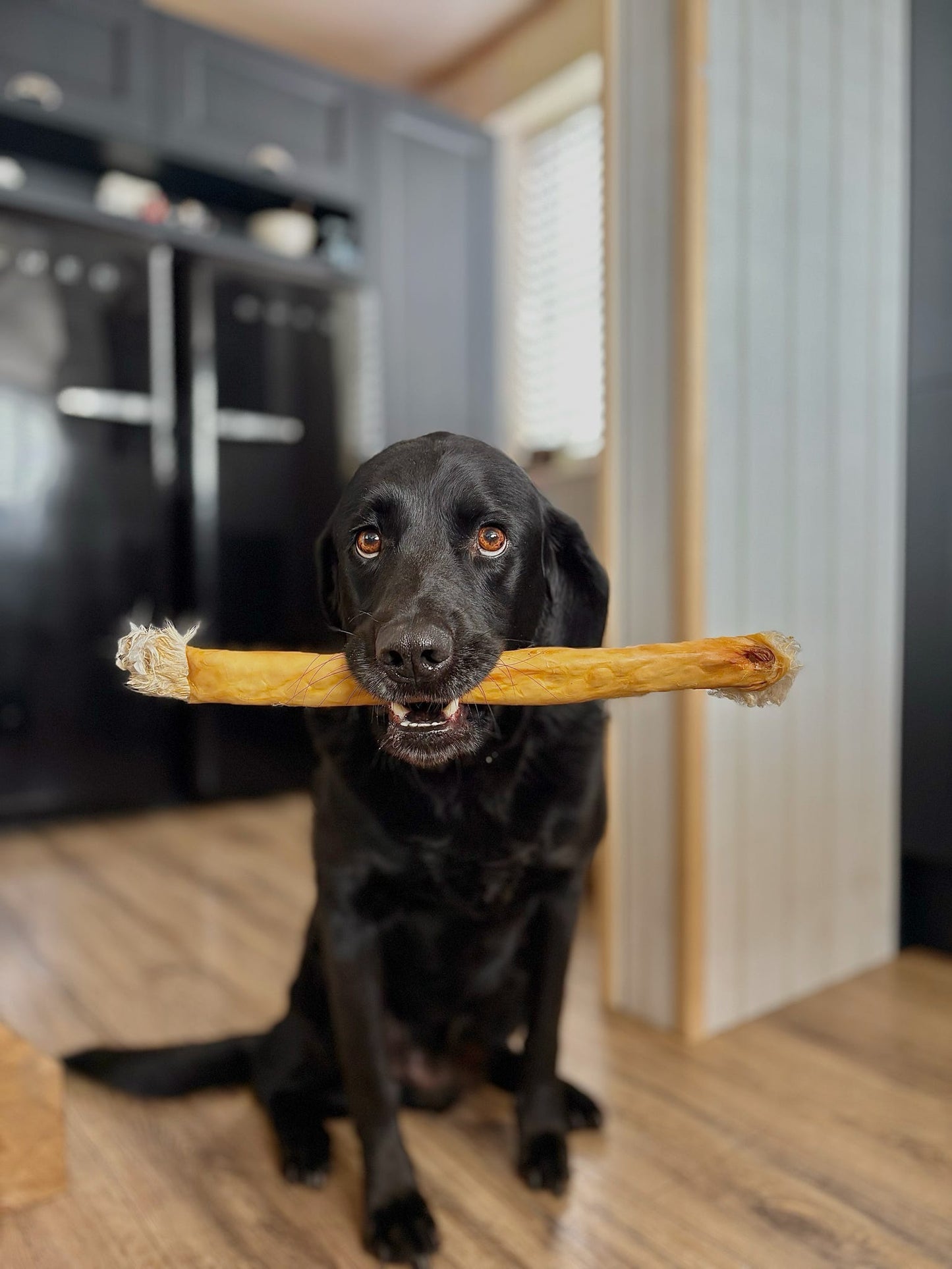 JUMBO Rabbit Skin Roll