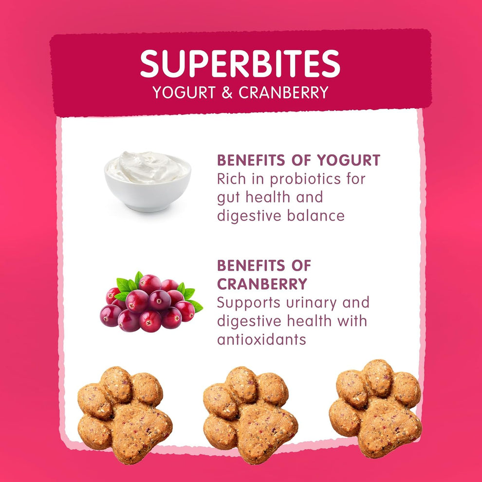 Frozzys Superbites| Yogurt and Cranberry