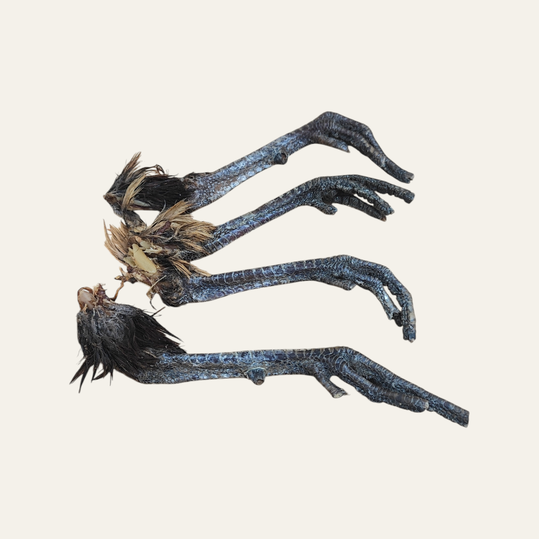 Pheasant Foot
