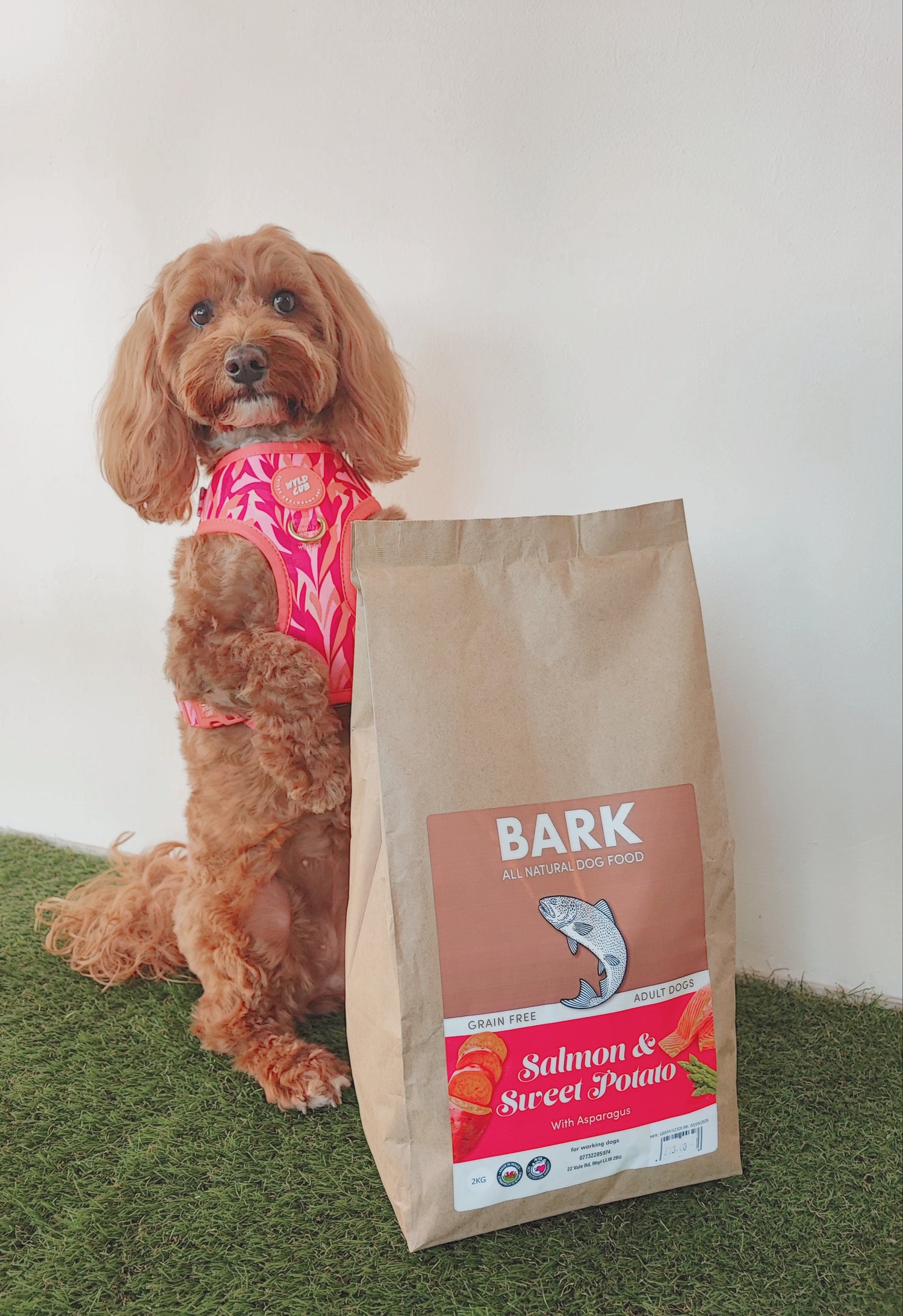 BARK Dried Dog Food