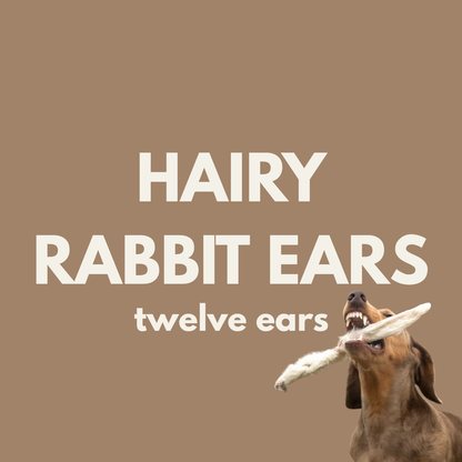 Fiver Friday| 12 Hairy Rabbit Ear