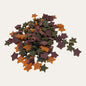 Fruit Stars 100g
