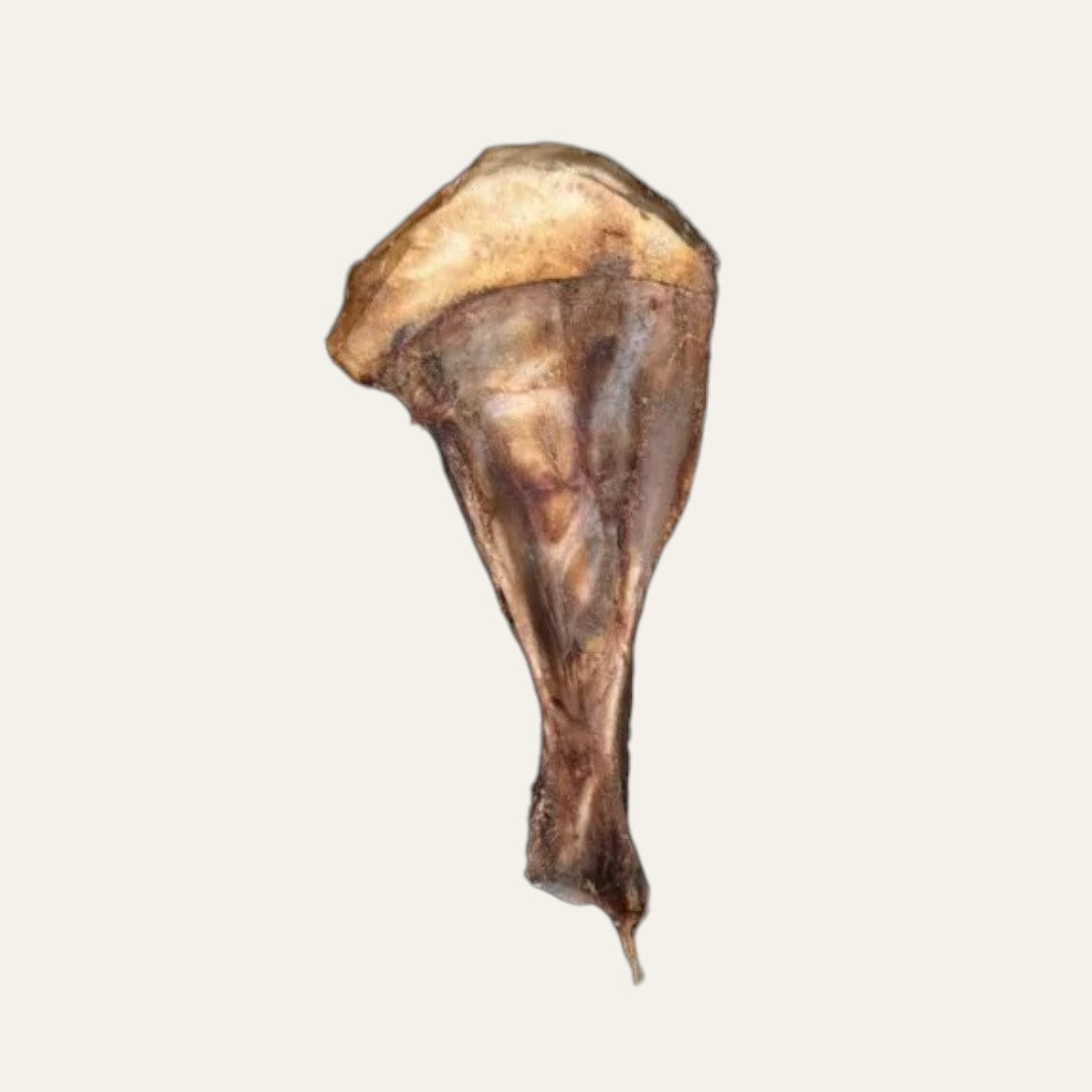Anco Naturals Wild Game Paddle Bone Large