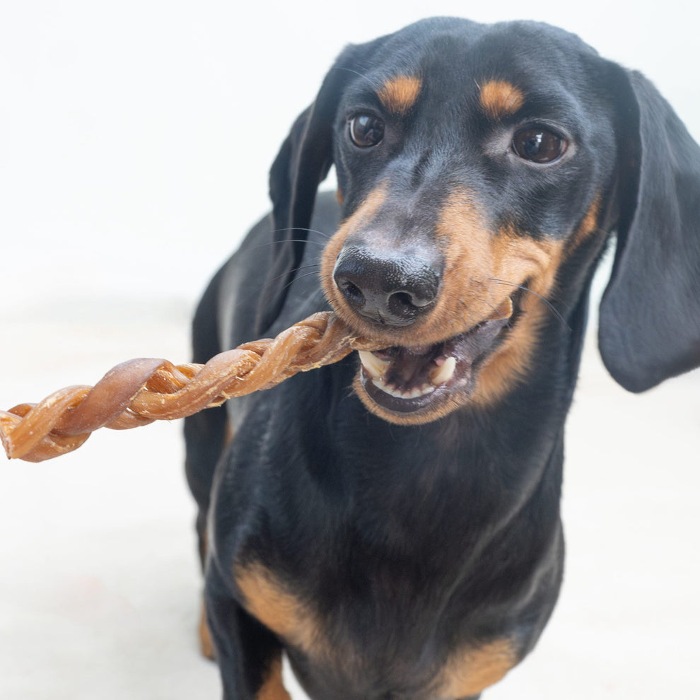 Braided Lamb Gullet