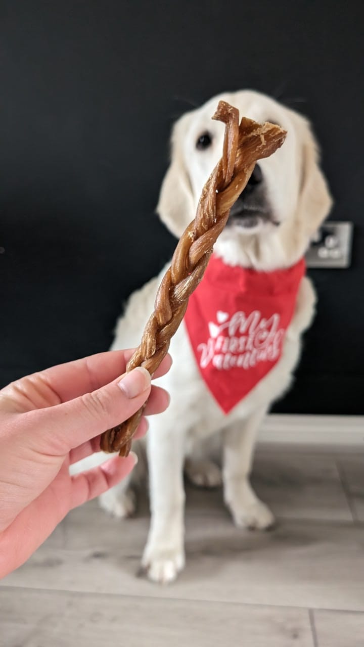 Braided Lamb Gullet