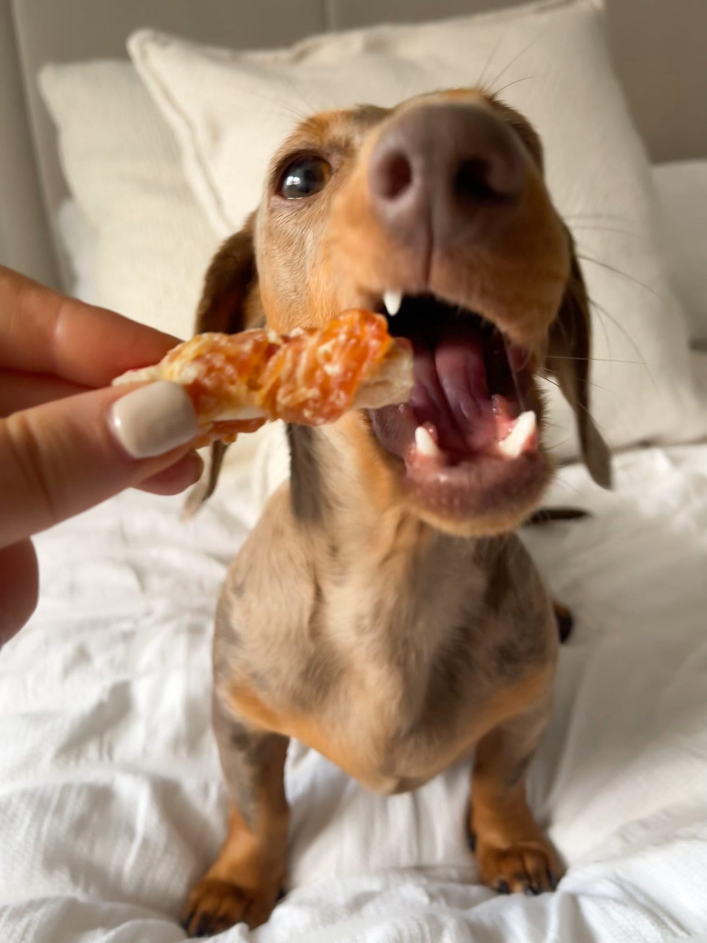 Crab Meat in Chicken Breast