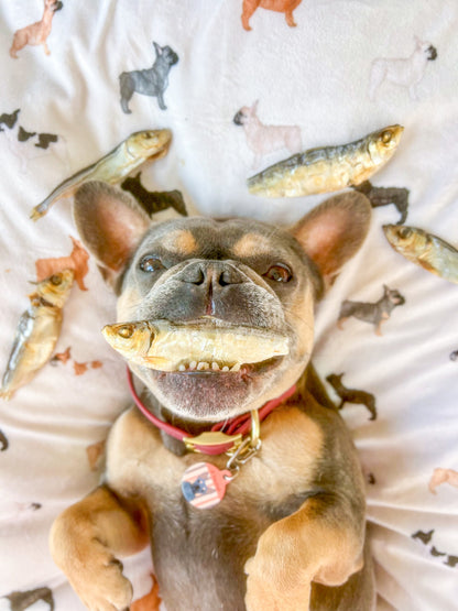 Large Baltic Sprats