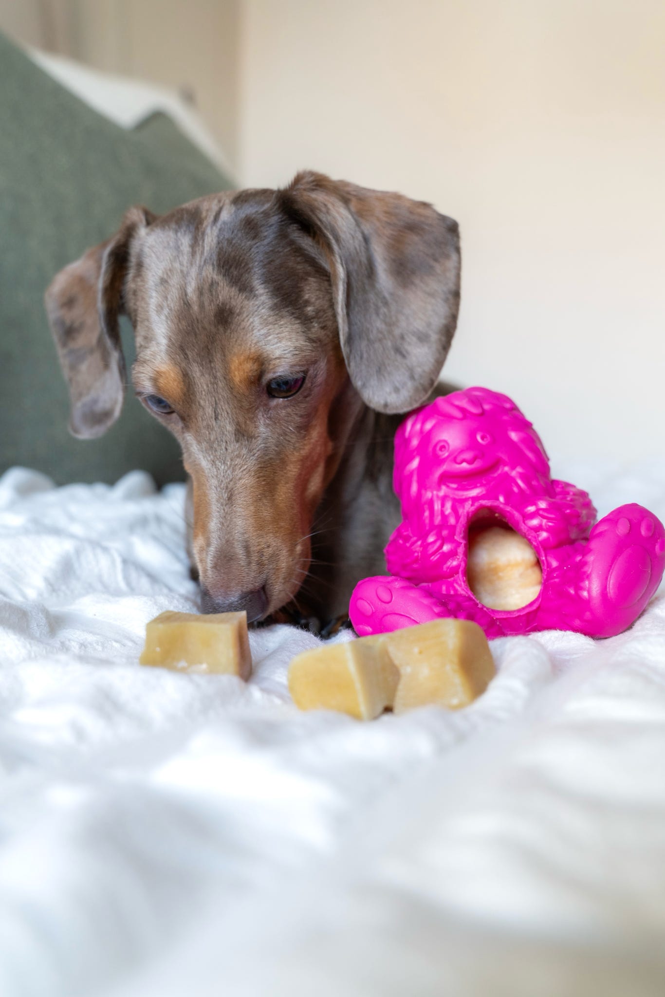 Dogsee Yeti Yak Dog Chew Toy