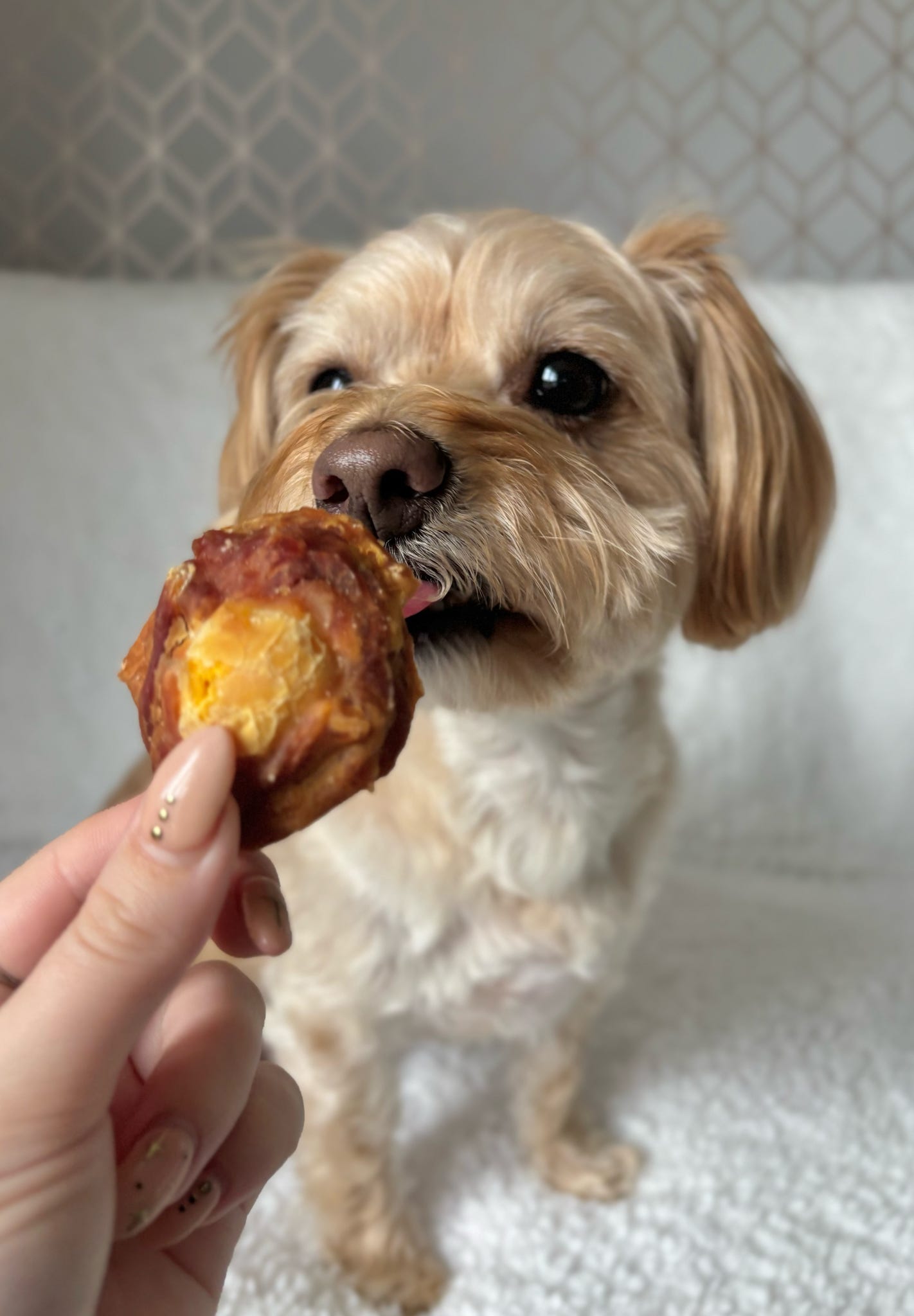 Egg Yolk Wrapped in Duck 100g