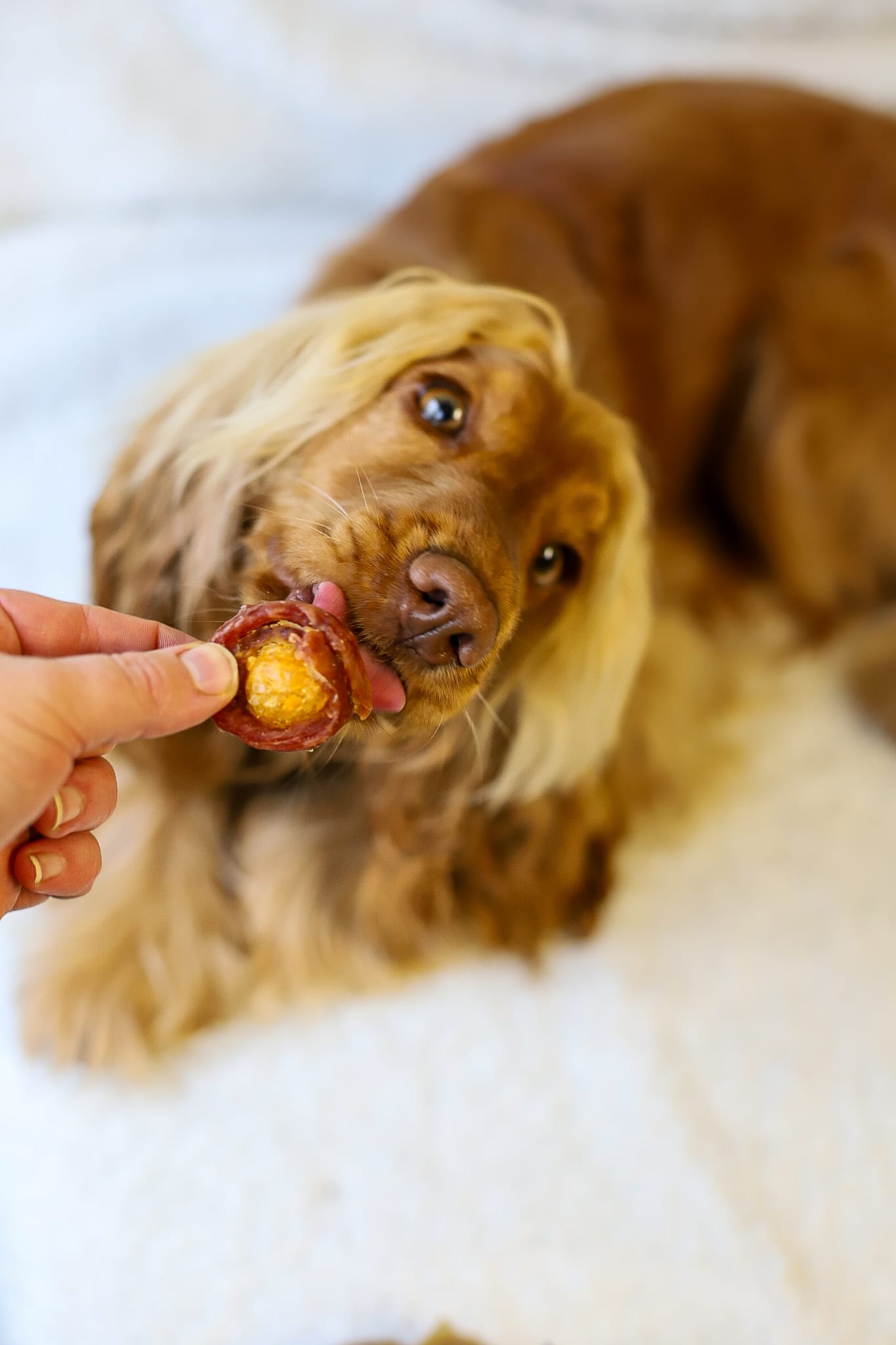 Egg Yolk Wrapped in Duck 100g