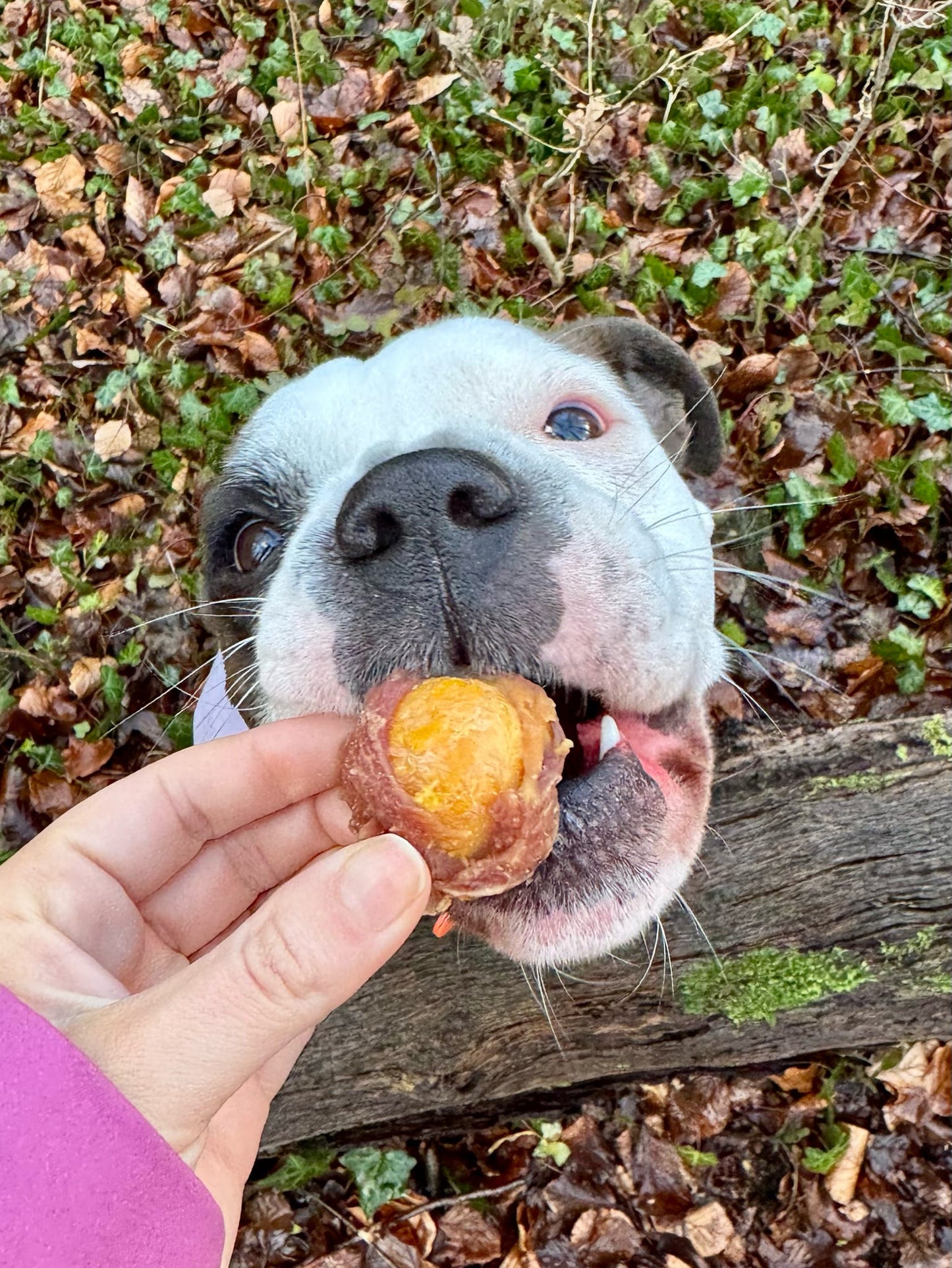 Egg Yolk Wrapped in Duck 100g