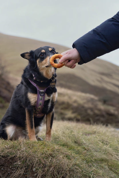 Collagen Chicken Coated Donut Small