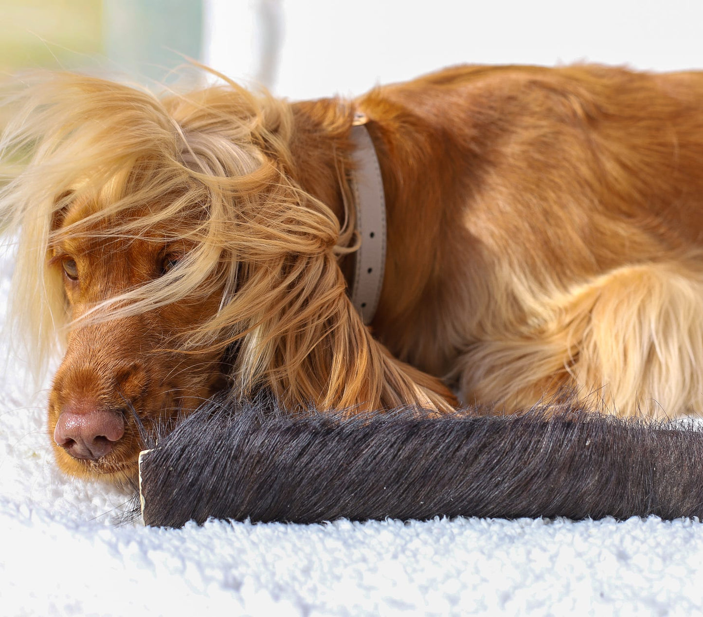 JUMBO Hairy Buffalo Roll