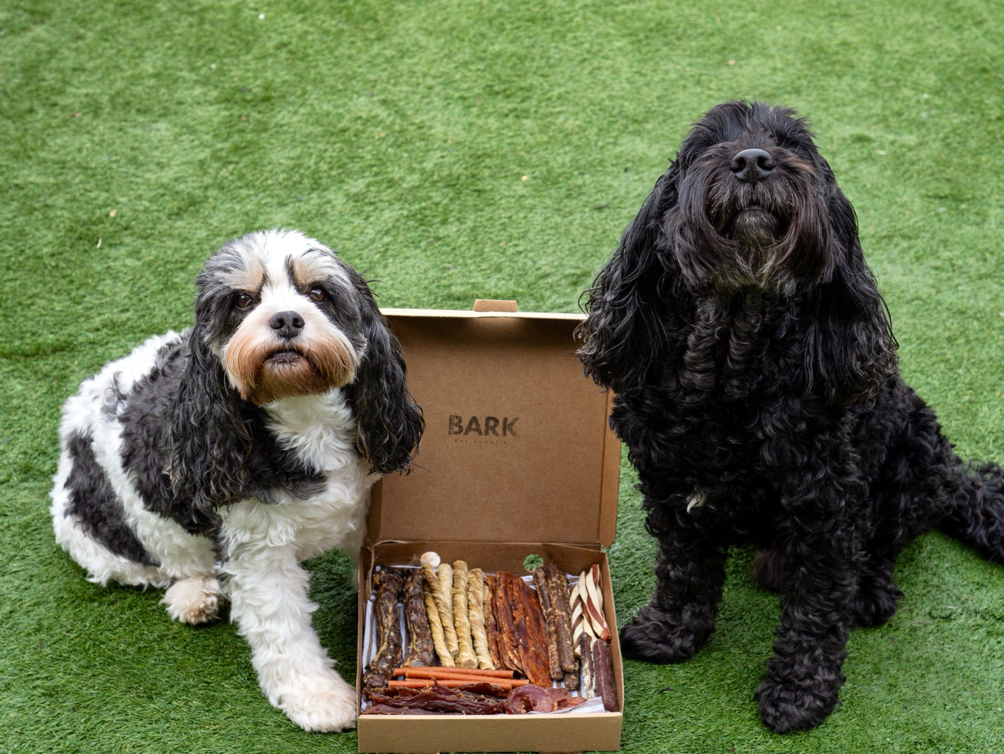 Mystery Picky Bits Graze Box