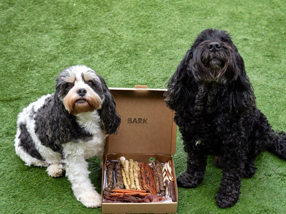Mystery Picky Bits Graze Box