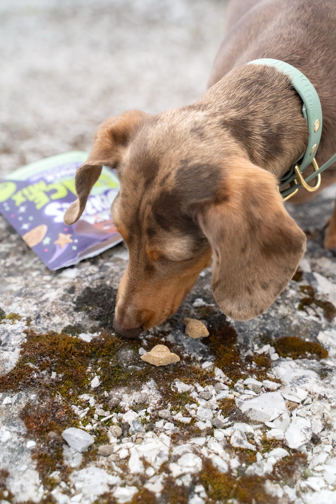 Denzel’S Space Mix Duck & Apple Dog Treats 90g