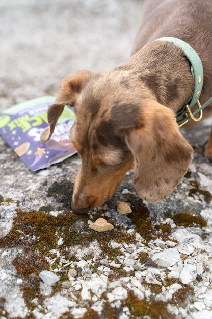 Denzel’S Space Mix Duck & Apple Dog Treats 90g