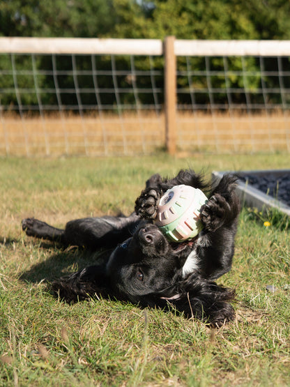 Durham Big Licks Treat Ball | Pink & Green